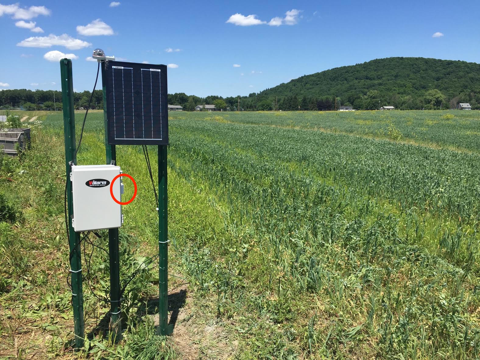 Resultado de imagen para sensor iot en agricultura