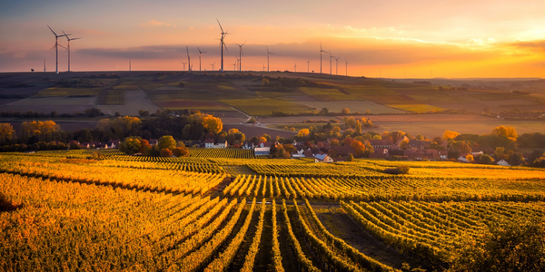 Aerial view of a farm at sunset